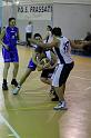 Basket 252059